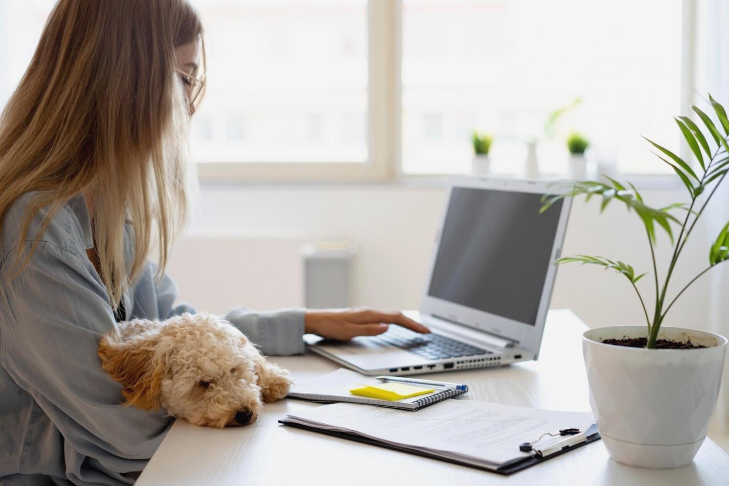 Interaktive Workshop-Situation mit Fokus auf Finanzstrategien